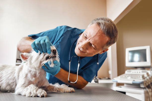 Best Emergency Wisdom Teeth Removal in New Richmond, WI